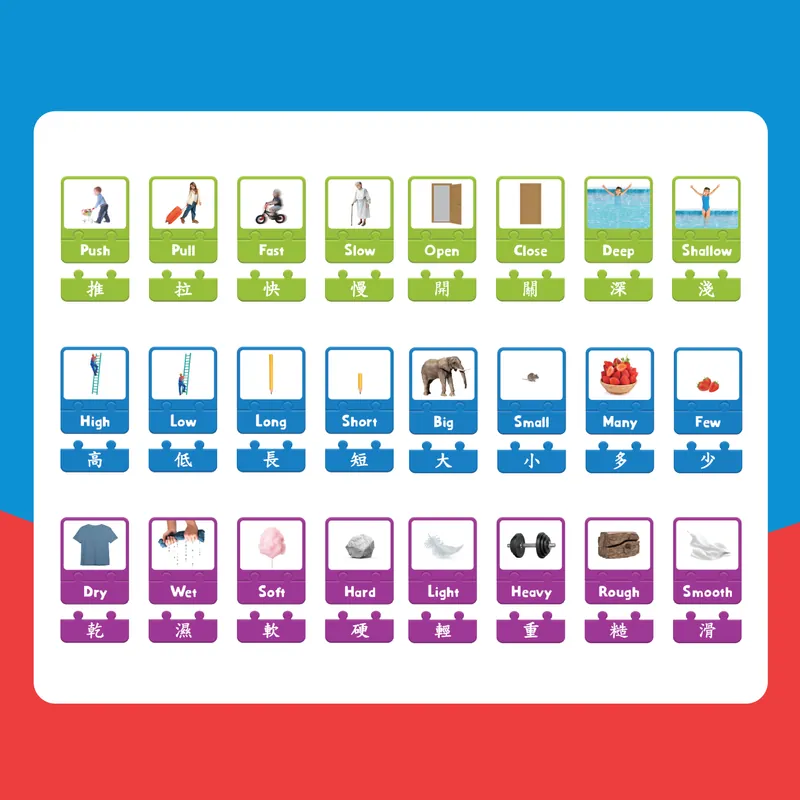 Curios Opposite Puzzle Card（TW）