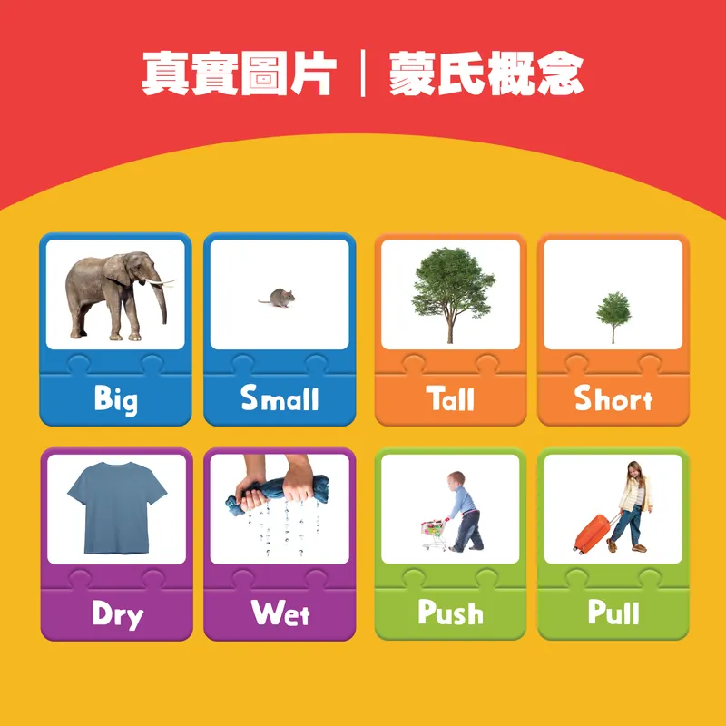 Curios Opposite Puzzle Card（TW）